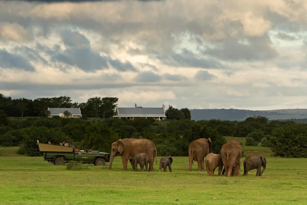 Riverbend Lodge อัดโด ภายนอก รูปภาพ