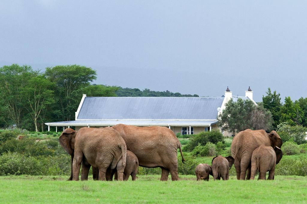Riverbend Lodge อัดโด ภายนอก รูปภาพ